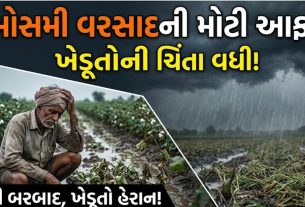Rain Alert