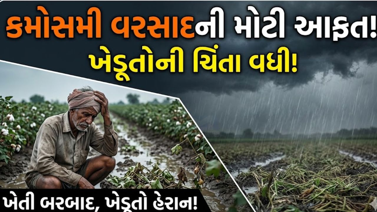 Rain Alert