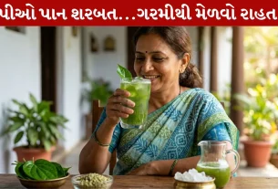 Pan Sharbat, પેટની ગરમી, વરિયાળી, Summer Drink