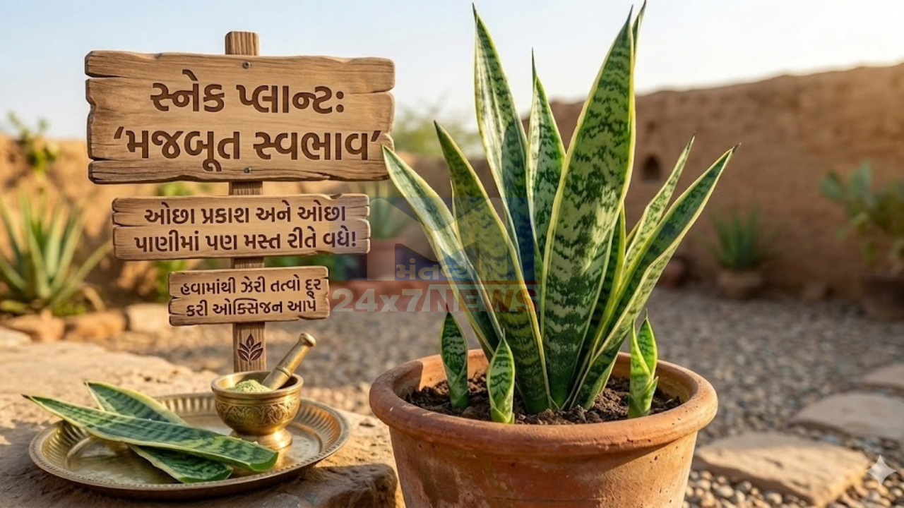 Plants