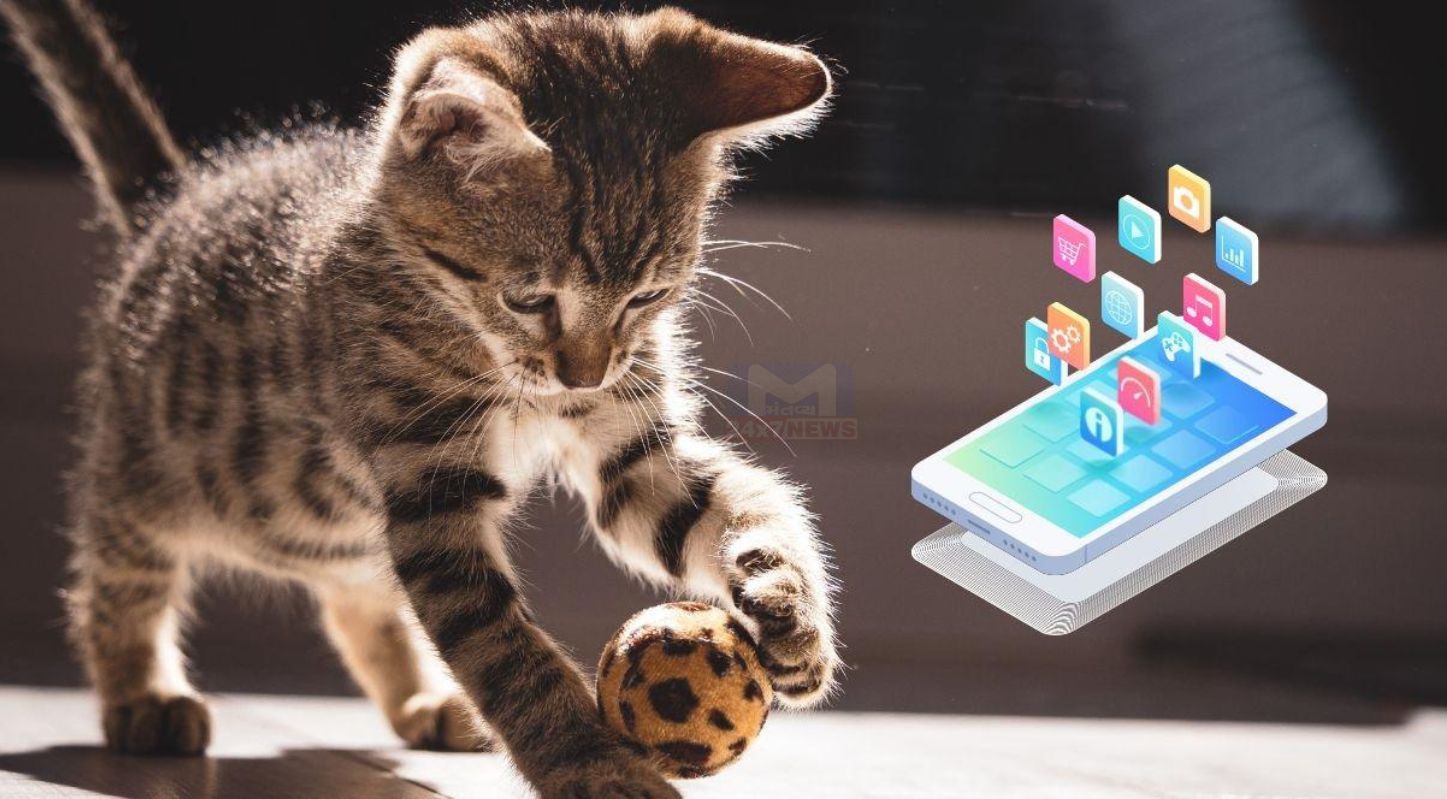 Respect Your Cat Day 2026, પાલતુ પ્રાણીઓ, 28 માર્ચ, એનિમલ શેલ્ટર, પ્રાણીપ્રેમ