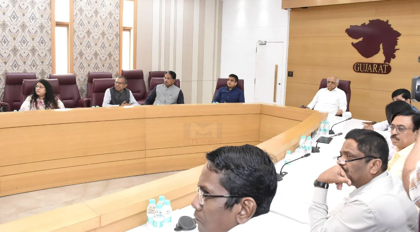 CM Patel, પેટ્રોલ, ડિઝલ, ફર્ટિલાઇઝર, PNG