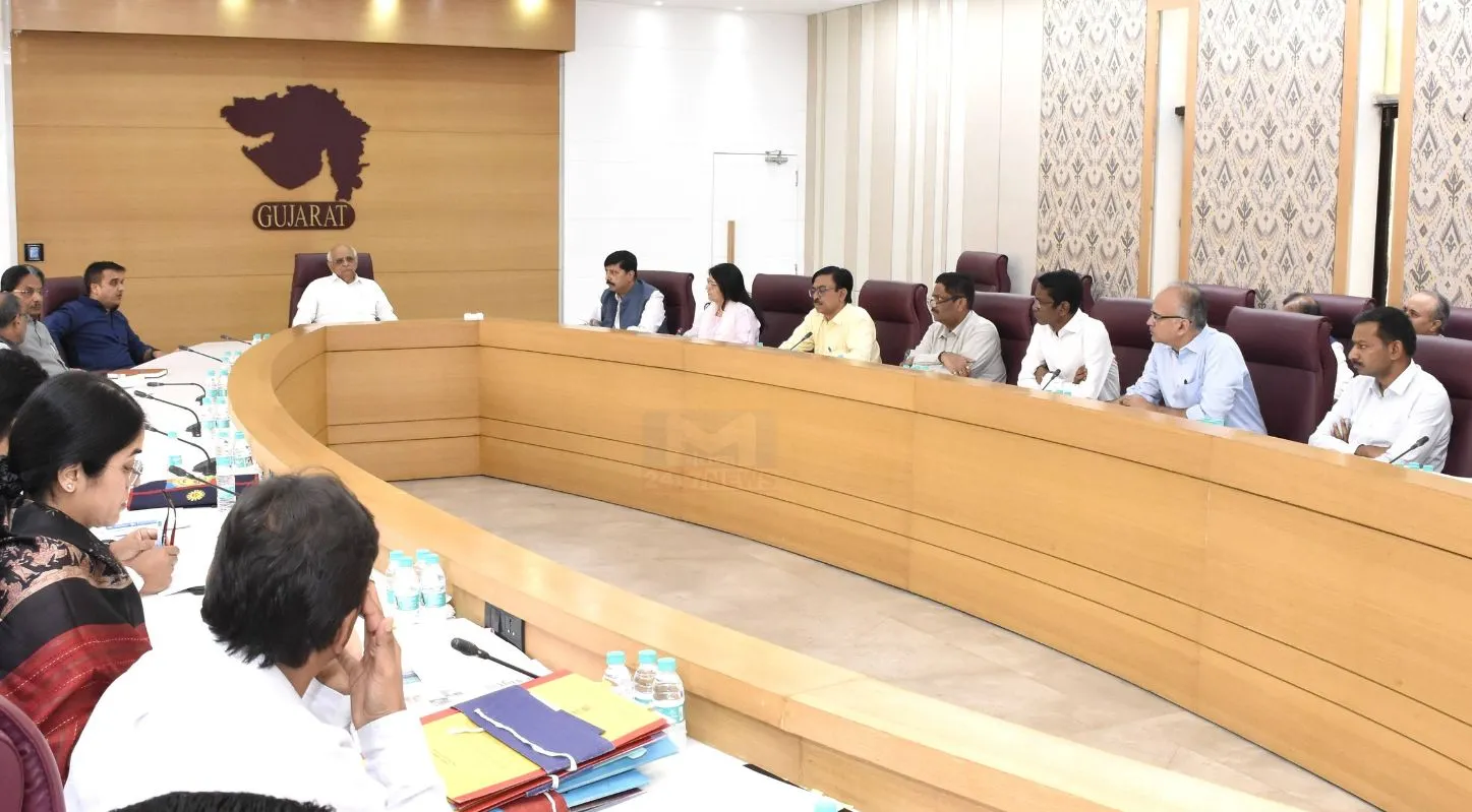 CM Patel, પેટ્રોલ, ડિઝલ, ફર્ટિલાઇઝર, PNG
