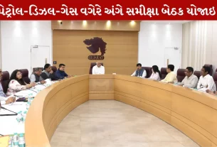 CM Patel, પેટ્રોલ, ડિઝલ, ફર્ટિલાઇઝર, PNG