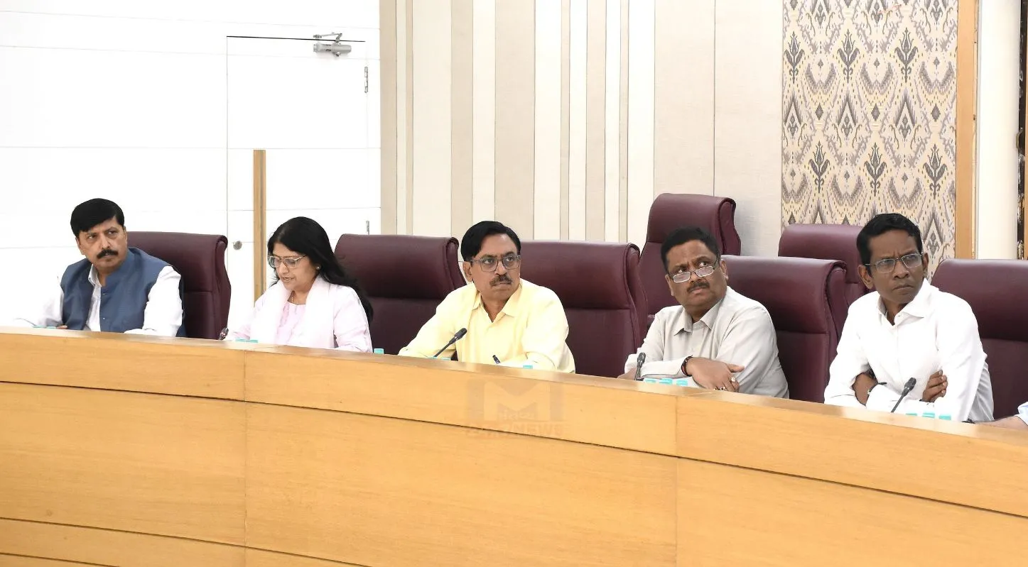 CM Patel, પેટ્રોલ, ડિઝલ, ફર્ટિલાઇઝર, PNG