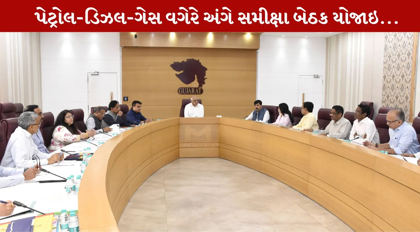 CM Patel, પેટ્રોલ, ડિઝલ, ફર્ટિલાઇઝર, PNG