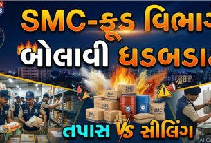SMCની કાર્યવાહીથી ભેળસેળનો પર્દાફાશ