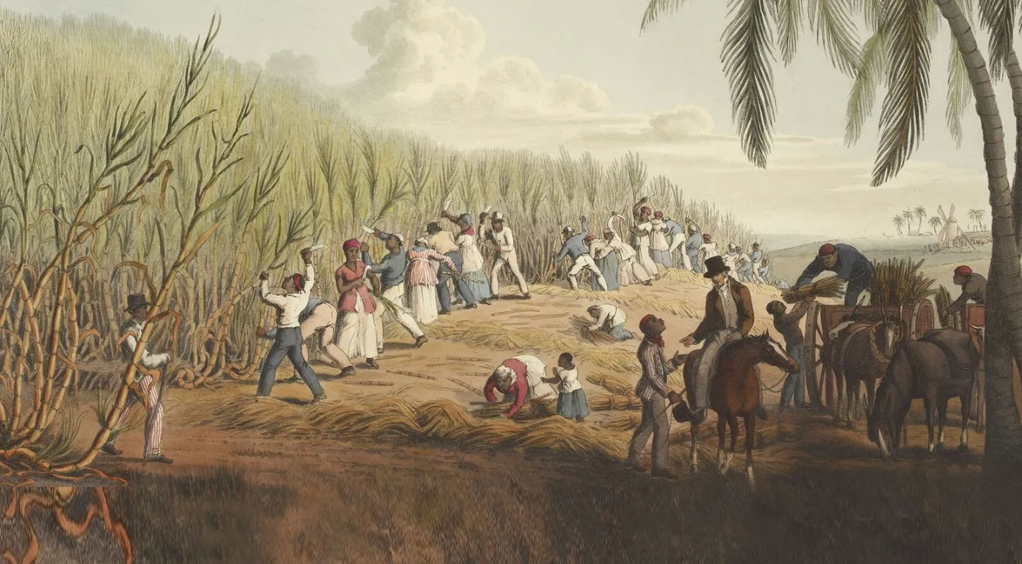 Slavery Remembrance Day 2026, માનવ તસ્કરી, ગુલામ પ્રથા, આફ્રિકા, UN