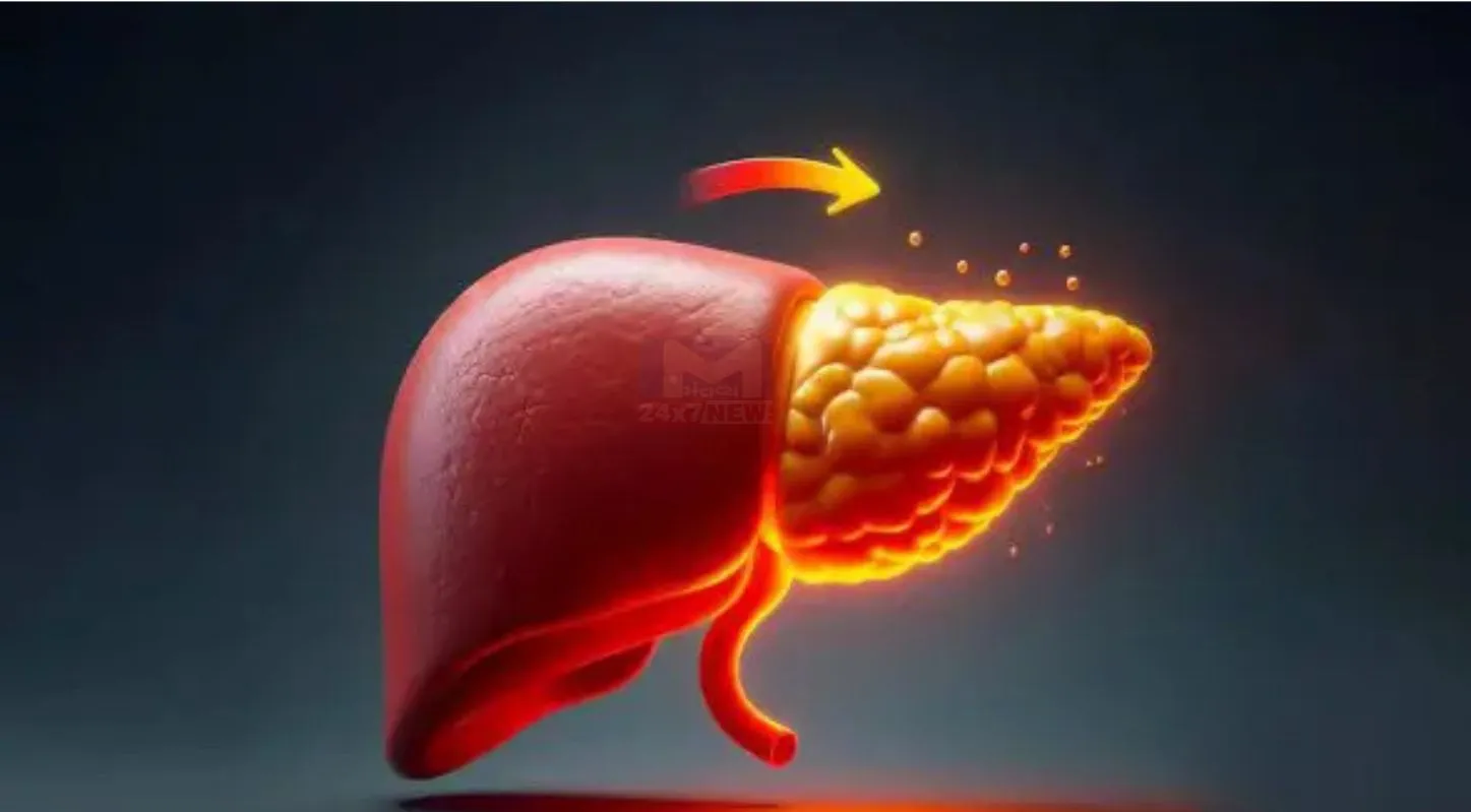 Liver, Sugar, સ્વાસ્થ્ય, મીઠું, ફેટી લિવર