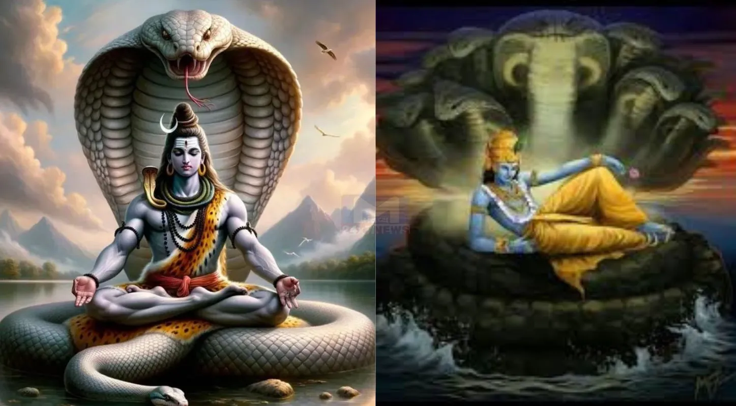 Swapna Shashtra, નાગદેવતા, વિષ્ણુ. મહાદેવ, વાસુકી