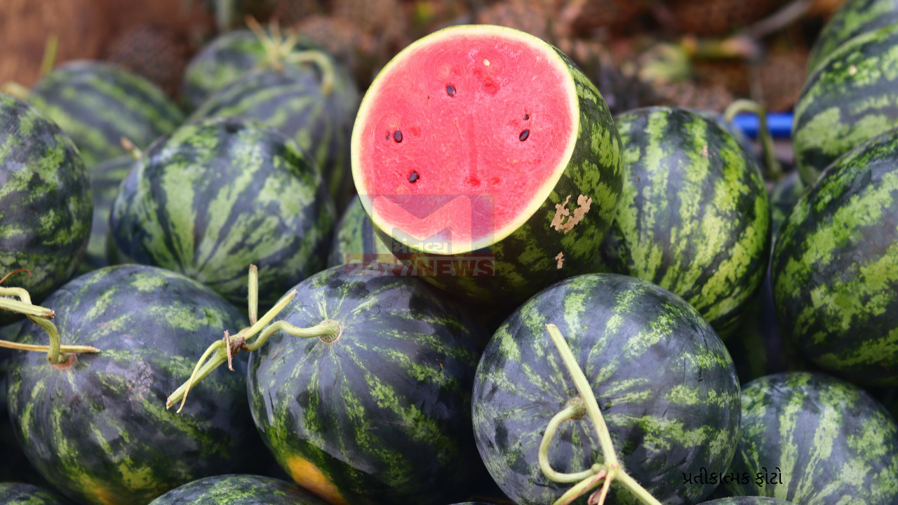 Watermelon