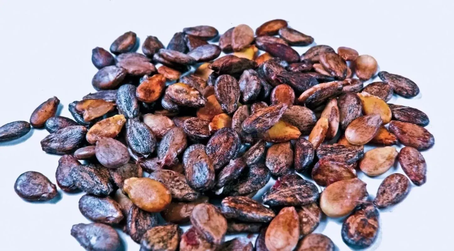 Seeds-Dry Fruits ,બીજ- સૂકો મેવો, ડ્રાય ફ્રુટ્સ, બદામ, કાજુ