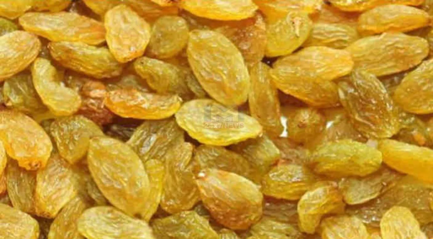 Seeds-Dry Fruits ,બીજ- સૂકો મેવો, ડ્રાય ફ્રુટ્સ, બદામ, કાજુ