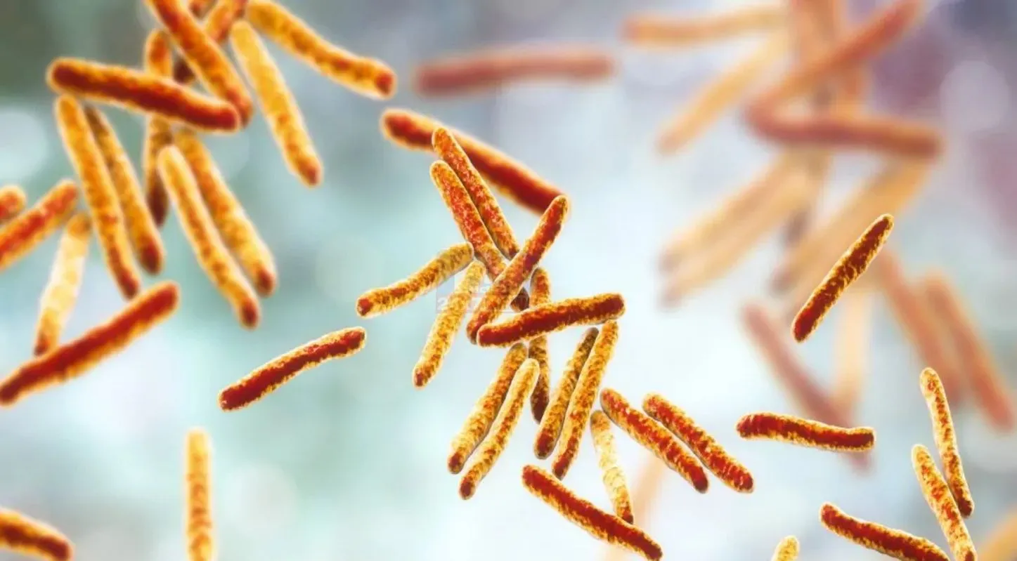 World Tuberculosis Day, 24 માર્ચ. ક્ષય રોગ નાબૂદી, દર્દી, સારવાર