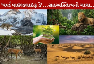 World Wildlife Day 2026 ,વિશ્વ વન્યજીવન દિવસ, સિંહ, એલોવેરા, જળવાયુ પરિવર્તન