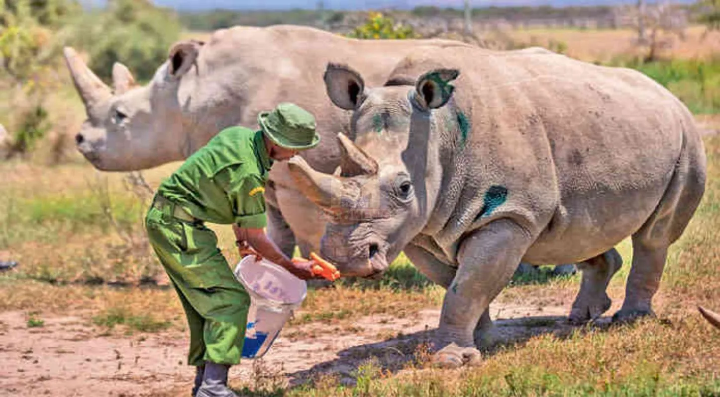 World Wildlife Day 2026 ,વિશ્વ વન્યજીવન દિવસ, સિંહ, એલોવેરા, જળવાયુ પરિવર્તન