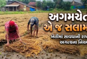 રાજ્યના વિવિધ જિલ્લાઓમાં ગાજવીજ સાથે હળવાથી મધ્યમ કમોસમી વરસાદ (Unseasonal Rains)પડવાની શક્યતા છે
