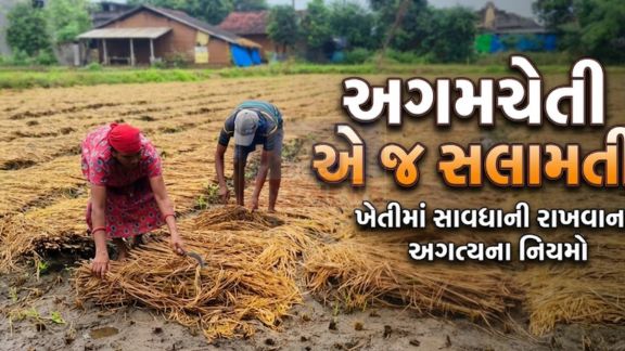 રાજ્યના વિવિધ જિલ્લાઓમાં ગાજવીજ સાથે હળવાથી મધ્યમ કમોસમી વરસાદ (Unseasonal Rains)પડવાની શક્યતા છે