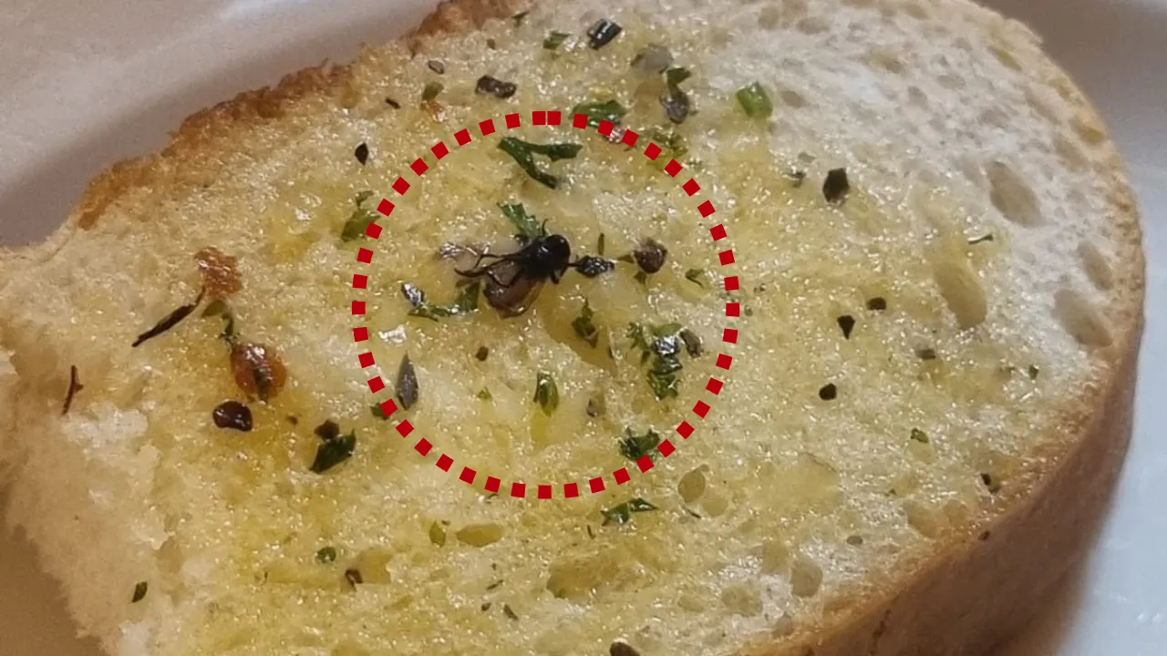komo by kaffa Ahmedabad Complaint