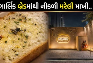 komo by kaffa Ahmedabad Complaint