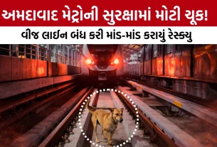 Ahmedabad Metro Security Breach