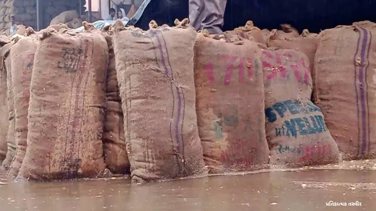 Ambalal Patelની આગાહી: 26-28 માર્ચ ગુજરાતમાં તોફાની પવન અને વરસાદ