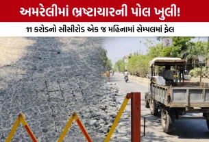 Amreli CC Road Sample Fail