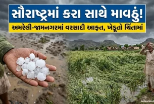 Amreli Jamnagar Unseasonal Rain