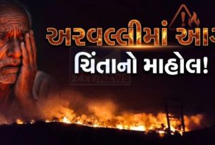 અરવલ્લી જિલ્લામાં ફરી એકવાર ડુંગર વિસ્તારમાં આગ (Fire)લાગવાની ઘટના સામે આવી છે