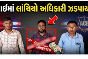 લાંચ (Bribe) લેતા ઉકાઈ મદદનીશ મત્સ્યોદ્યોગ અધિક્ષક લાંચ લેતા એસીહીની જાળમાં ફસાયો