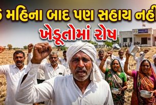 700થી વધુ Farmers હજુ સહાયથી વંચિત! 6 મહિના પછી પણ રાહ ચાલુ
