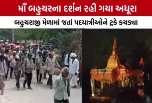 Mehsana Becharaji Pedestrian Accident