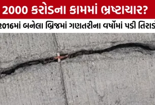 Bhavnagar Somnath Highway Bridge Crack