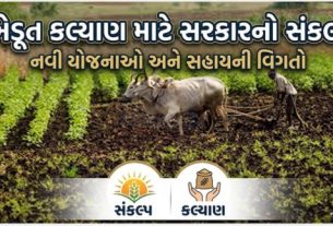 કૃષિ મંત્રી જીતુ વાઘાણીએ જણાવ્યુ છે કે, રાજ્યના ખેડૂતો(Farmers)ના હિતને વરેલી સરકારે ખેડૂતોના પ્રશ્નો માટે સતત ચિંતિત છે