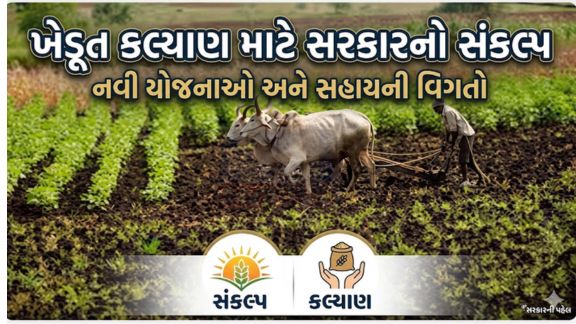 કૃષિ મંત્રી જીતુ વાઘાણીએ જણાવ્યુ છે કે, રાજ્યના ખેડૂતો(Farmers)ના હિતને વરેલી સરકારે ખેડૂતોના પ્રશ્નો માટે સતત ચિંતિત છે