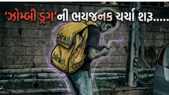 ચંદીગઢમાં એક બ્લિંકિટ ડિલિવરી બોયનો વીડિયો ઇન્ટરનેટ પર વાયરલ થયો છે, જેમાં તે રસ્તા પર લગભગ 2.5 કલાક સુધી પૂતળા(Statue)ની જેમ ઊભો રહ્યો હતો