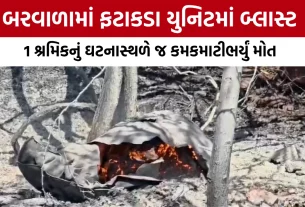Botad Barwala Firecracker Factory Blast