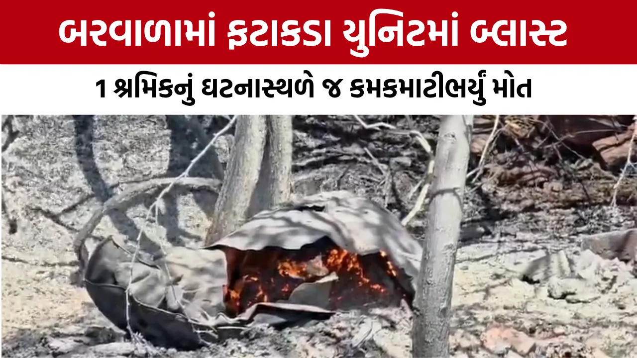 Botad Barwala Firecracker Factory Blast