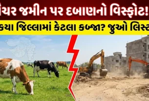 Gauchar Land Encroachment Gujarat
