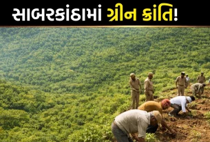 Green Wall of Aravalli Gujarat