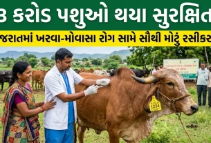 Gujarat Animal Vaccination Success