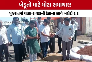 Gujarat MSP Chana Rayda Purchase