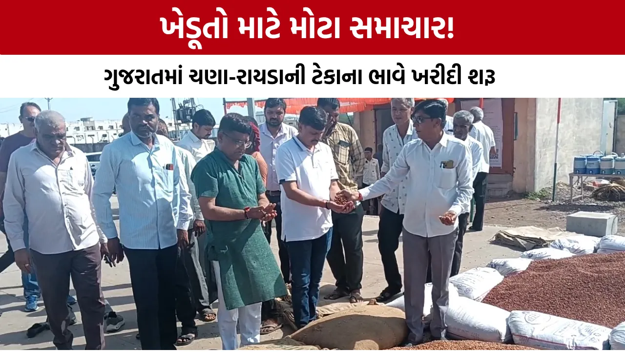 Gujarat MSP Chana Rayda Purchase