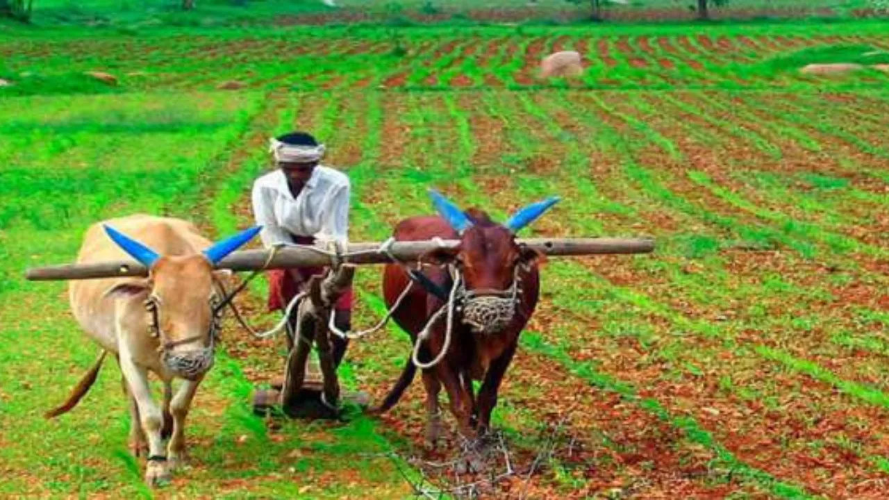 Gujarat Agriculture Land Inheritance Stamp Duty: