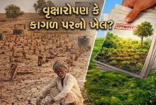 કરોડોનો ખર્ચ છતાં ગુજરાતમાં tree plantation નિષ્ફળ, 40% રોપાઓ નાશ