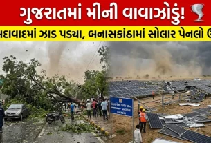 Gujarat Unseasonal Rain Update:
