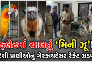 Illegal Exotic Animal Breeding Ahmedabad