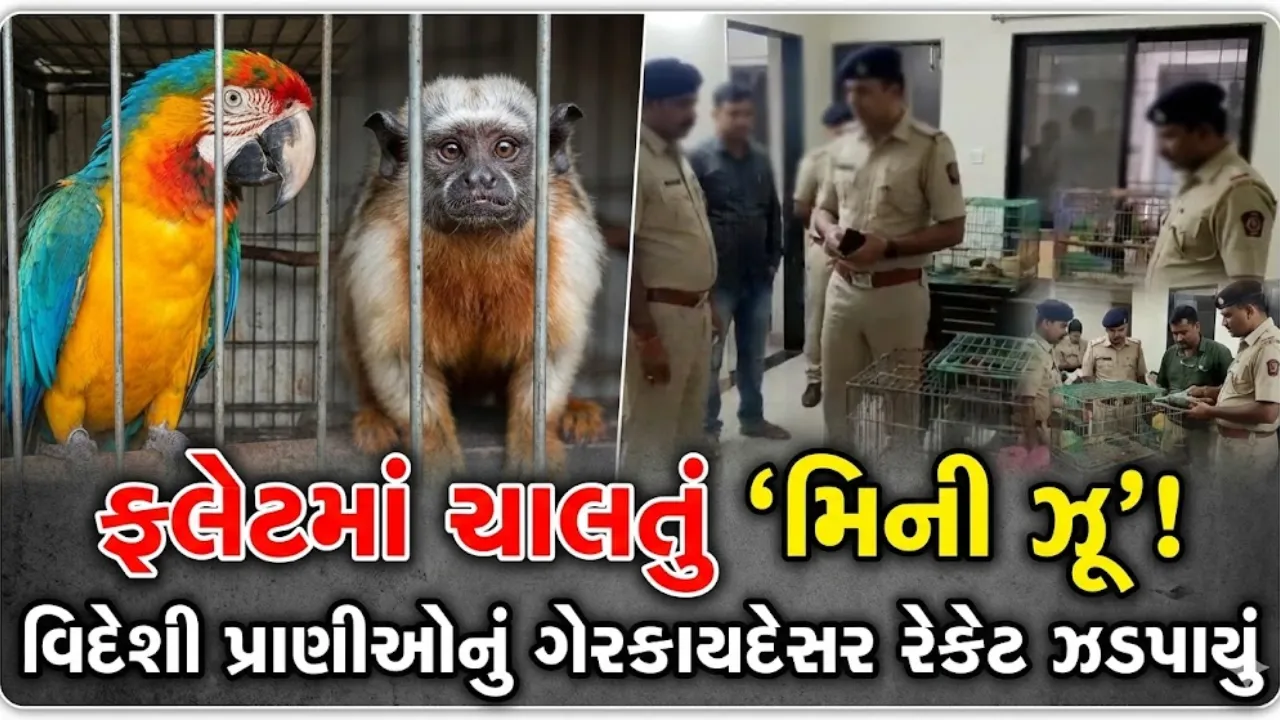 Illegal Exotic Animal Breeding Ahmedabad