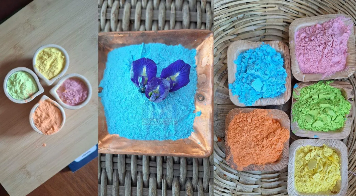 Natural Colours, હોળી, ધૂળેટી, ગુલાબ, કેસૂડા