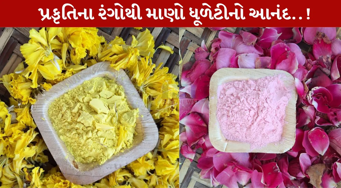 Natural Colours, હોળી, ધૂળેટી, ગુલાલ, કેસૂડા